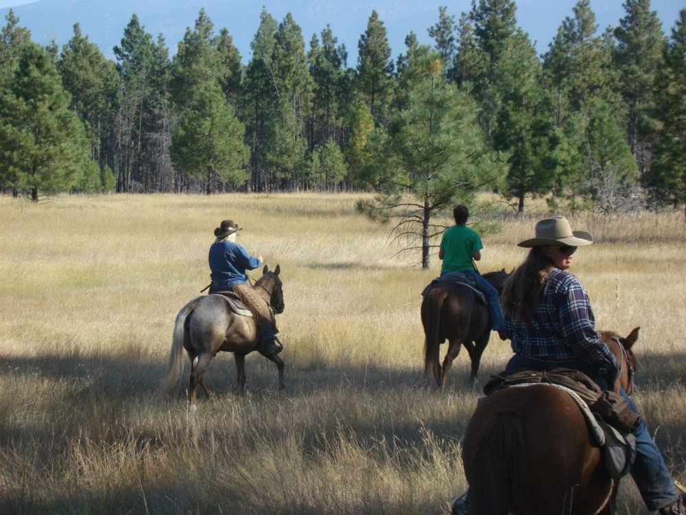Hotel Dream Haven Guest Ranch Marion Zewnętrze zdjęcie