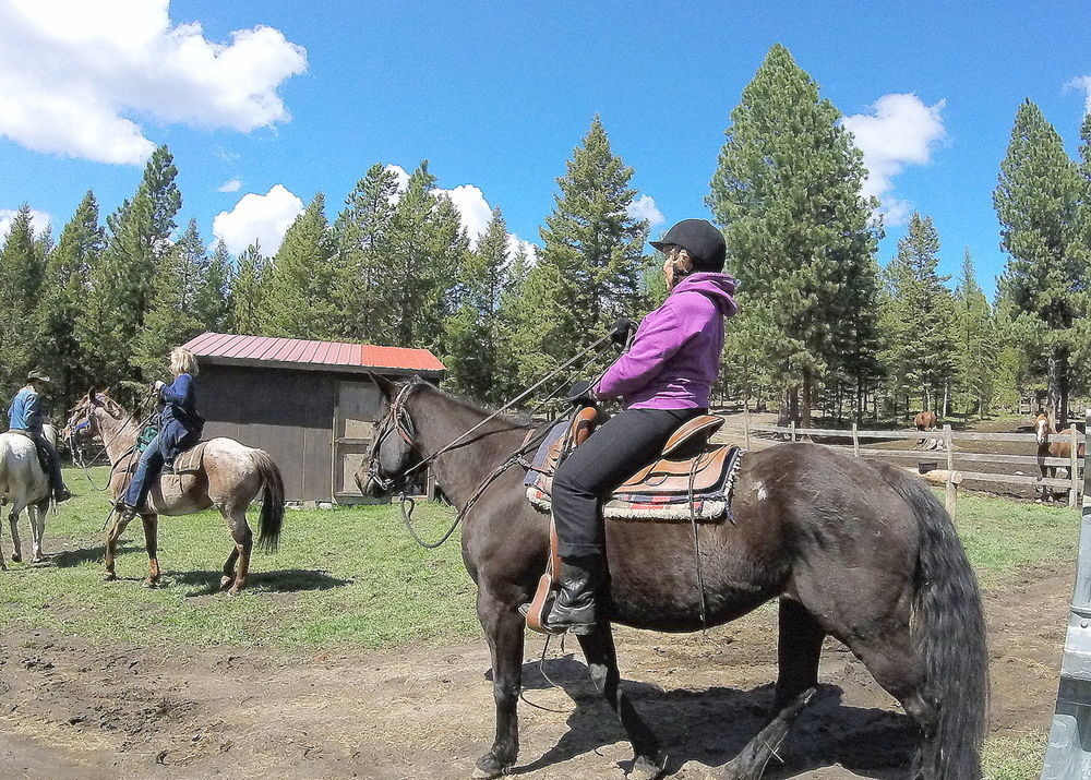 Hotel Dream Haven Guest Ranch Marion Zewnętrze zdjęcie